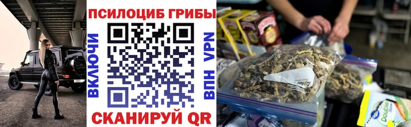 где найти наркотики Сегежа Галлюциногенные грибы Cubensis