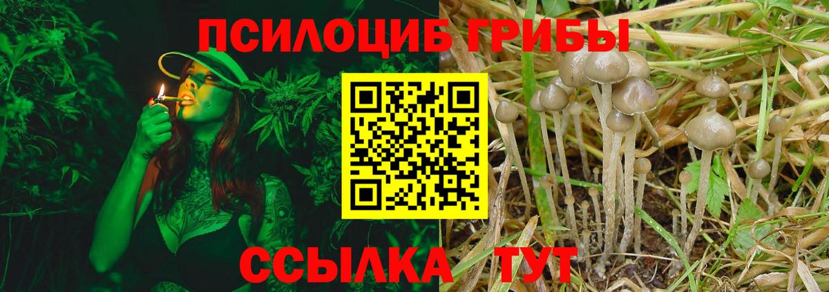 Псилоцибиновые грибы ЛСД Сегежа